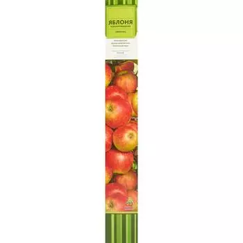 Яблоня колонновидная Триумф