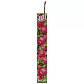 Яблоня колонновидная, в коробке