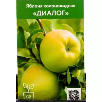 Яблоня колоновидная Диалог h90 см