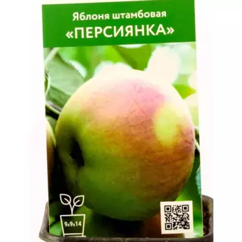 Яблоня Персиянка h80 см