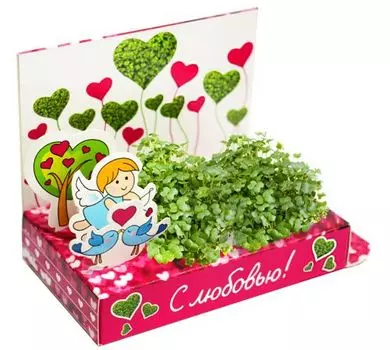 Живая открытка Веселые моменты ангел: С любовью!