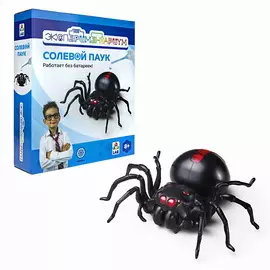 1TOY Набор для опытов Экспериментариум Солевой паук
