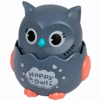 1TOY Покатушки Весёлая Сова 1.0