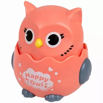 1TOY Покатушки Весёлая Сова 1.0
