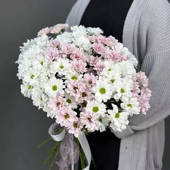 4 СЕЗОНА Монобукет из 15 бело-розовых кустовых хризантем