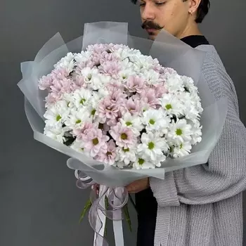 4 СЕЗОНА Монобукет из 15 бело-розовых кустовых хризантем