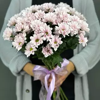4 СЕЗОНА Монобукет из 15 розовых кустовых хризантем