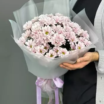 4 СЕЗОНА Монобукет из 15 розовых кустовых хризантем