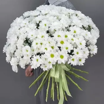4 СЕЗОНА Монобукет из 25 белых кустовых хризантем