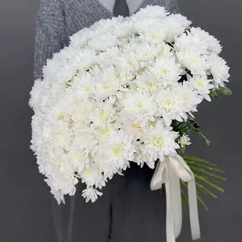 4 СЕЗОНА Монобукет из 25 белых кустовых хризантем Зембла