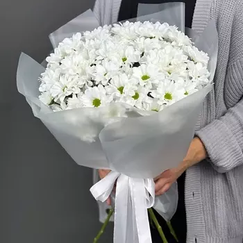 4 СЕЗОНА Монобукет из 9 кустовых хризантем