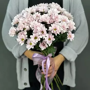 4 СЕЗОНА Монобукет из 9 кустовых розовых хризантем