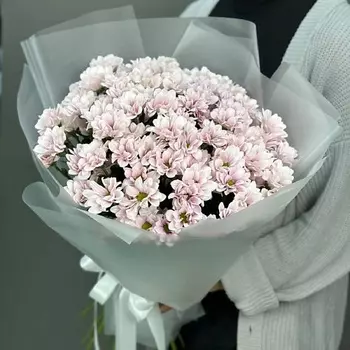 4 СЕЗОНА Монобукет из 9 розовых кустовых хризантем