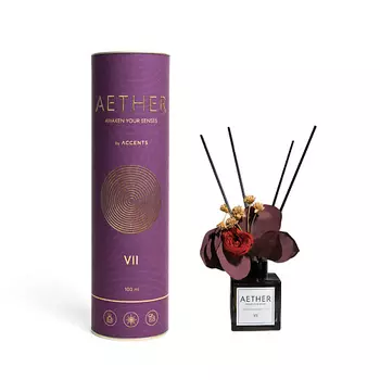 ACCENTS ВДОХНОВЕНИЕ С ПЕРВЫХ НОТ Аромадиффузор для дома с сухоцветами Aether VII Mousse d'ambre