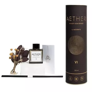 ACCENTS ВДОХНОВЕНИЕ С ПЕРВЫХ НОТ Аромадиффузор для дома с сухоцветами Aether VI Orange Pepper