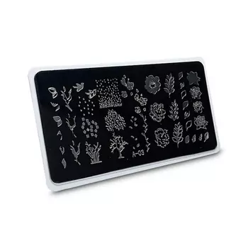 AEROPUFFING Пластина для стемпинга Stamping Plate Времена года