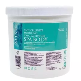 ALEVI Охлаждающий крио-гель для обертывания и массажа 750.0