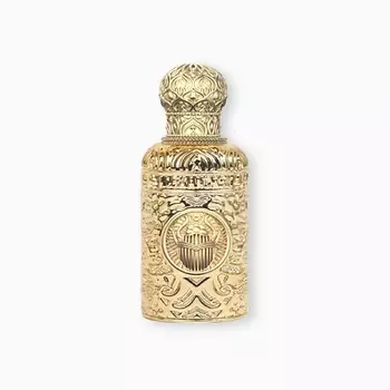 ALEXANDRE J Black Beetle