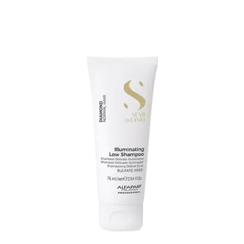 ALFAPARF MILANO Шампунь для нормальных волос для придания блеска SDL 75.0