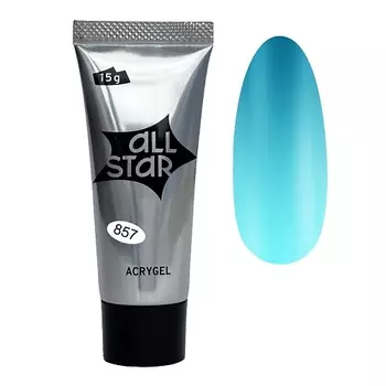 ALL STAR PROFESSIONAL Акригель для моделирования и укрепления ногтей PolyGel