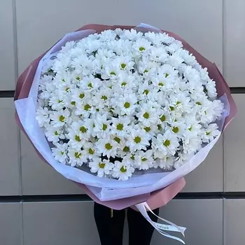 ALLFLOW 25 хризантем кустовых