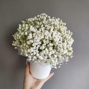 ANANAS FLOWERS Гипсофила в коробке