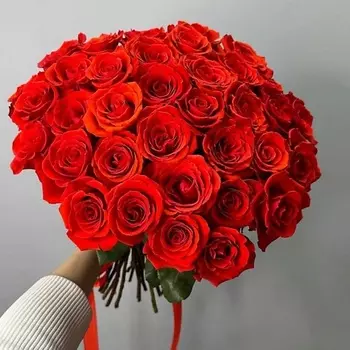 ANANAS FLOWERS Монобукет из алых роз