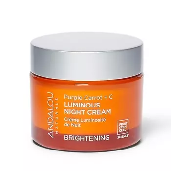 ANDALOU NATURALS Ночной крем «Пурпурная морковь + витамин С»