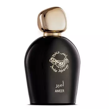 ANFAS ALKHALEEJ Ameer 100