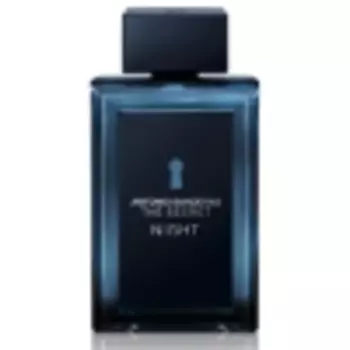 ANTONIO BANDERAS The Secret Night