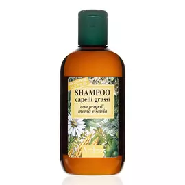 ARDES Шампунь для жирных волос, от облысения Shampoo capelli grassi