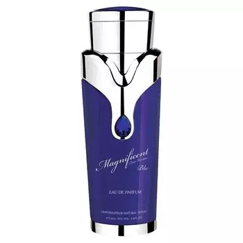 ARMAF PERFUMES Парфюмерная вода Magnificent Blue Pour Homme