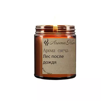 AROMAKO Свеча"Лес после дождя" 150.0