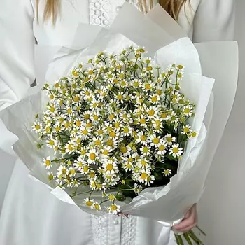 ART FLORA Нежный букет ромашек