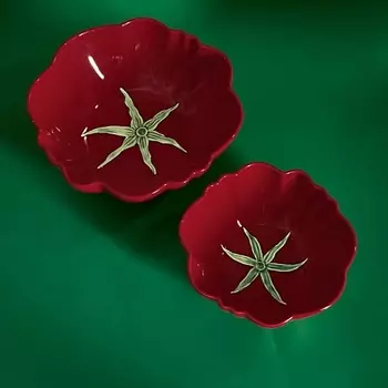 ARYA HOME COLLECTION Набор керамических салатников Tomato 2 предмета