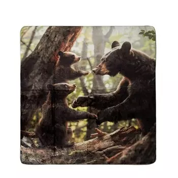 ARYA HOME COLLECTION Плед с принтом 150X200 Bear Family