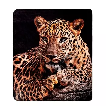 ARYA HOME COLLECTION Плед с принтом 150X200 Chita