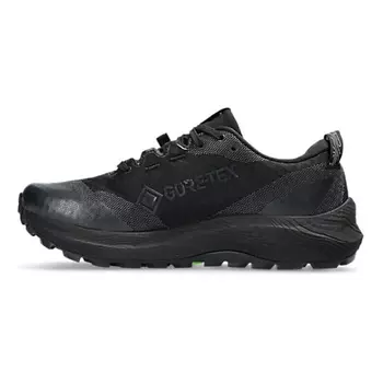 ASICS Кроссовки Gel Trabuco 12 Gtx Black Graphite Grey Women's