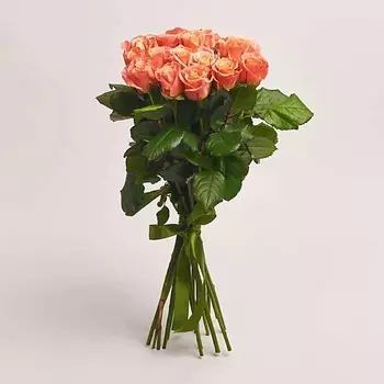 AZALIANOW ЦВЕТЫ. ПОДАРКИ. ДЕКОР Акция! 19 коралловых роз 50 см, Россия