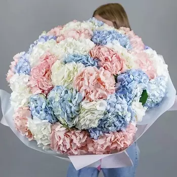 AZALIANOW ЦВЕТЫ. ПОДАРКИ. ДЕКОР Большой букет из 39 разноцветных гортензий