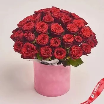 AZALIANOW ЦВЕТЫ. ПОДАРКИ. ДЕКОР Букет 51 красная роза в розовой коробке