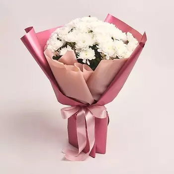 AZALIANOW ЦВЕТЫ. ПОДАРКИ. ДЕКОР Букет из 11 кустовых белых хризантем в малиновой упаковке