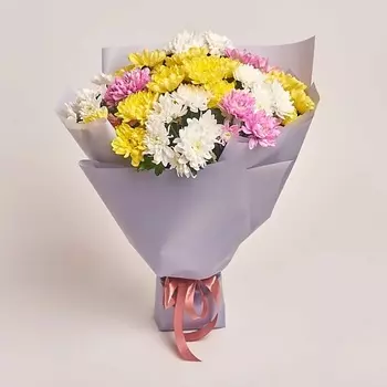 AZALIANOW ЦВЕТЫ. ПОДАРКИ. ДЕКОР Букет из 11 разноцветных кустовых хризантем в матовой упаковке