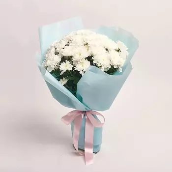 AZALIANOW ЦВЕТЫ. ПОДАРКИ. ДЕКОР Букет из 11 кустовых белых хризантем в голубой упаковке