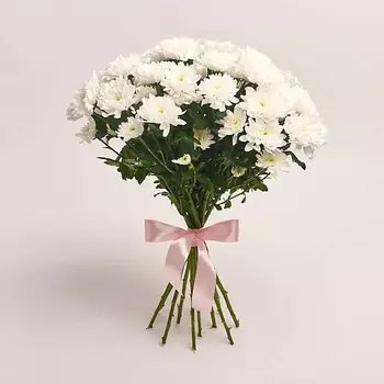 AZALIANOW ЦВЕТЫ. ПОДАРКИ. ДЕКОР Букет из 11 кустовых белых хризантем без упаковки