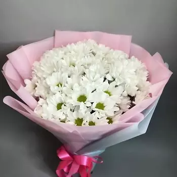 AZALIANOW ЦВЕТЫ. ПОДАРКИ. ДЕКОР Букет из 11 кустовых хризантем «Облако»