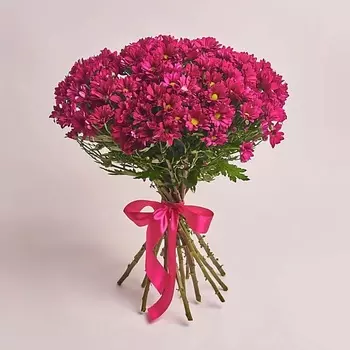 AZALIANOW ЦВЕТЫ. ПОДАРКИ. ДЕКОР Букет из 15 кустовых малиновых хризантем оформленных под ленту