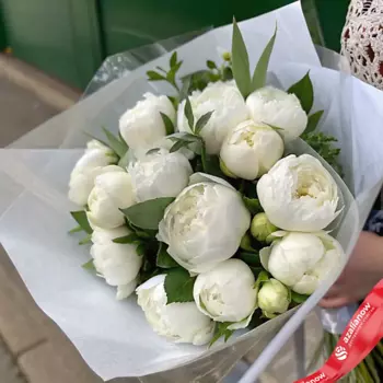 AZALIANOW ЦВЕТЫ. ПОДАРКИ. ДЕКОР Букет из 15 белых пионов в пленке