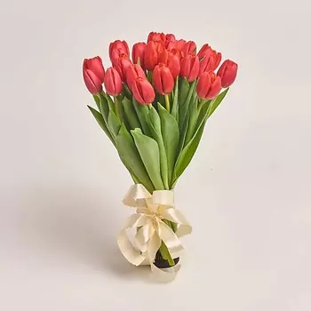 AZALIANOW ЦВЕТЫ. ПОДАРКИ. ДЕКОР Букет из 25 тюльпанов красного цвета