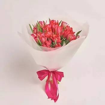 AZALIANOW ЦВЕТЫ. ПОДАРКИ. ДЕКОР Букет из 25 малиновых пионовидных тюльпанов в белой пленке